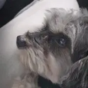 ☆ひなた☆*°の画像