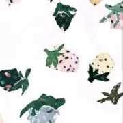 こんぺいの画像