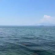 Yの画像