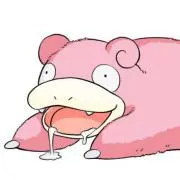 コダックの画像