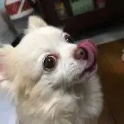 K-PAPAの画像