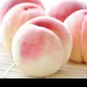 Momoの画像
