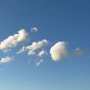 Cotton_Candyの画像