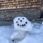 ゆきだるまの画像