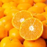 orangeの画像