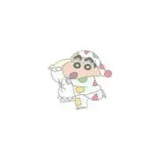 RIZINファン