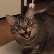まるたね（プロフ必読！即購入OK！）の画像