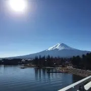 ゴーゴー