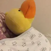 morimoriの画像