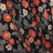 Nenetanmumの画像