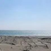 なつの画像