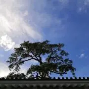 とんでもないやつの画像
