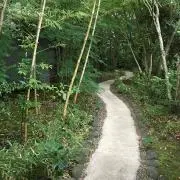 HASONA