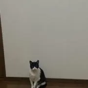 りーの画像