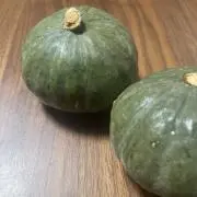 タヌキの画像