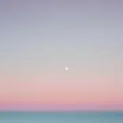 ニコ