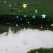 623【9/25〜順次配送】の画像