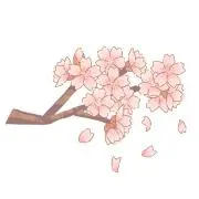 さくらもちの画像