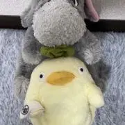 pppの画像