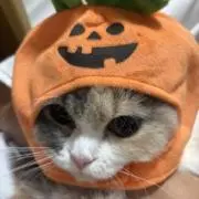 きっちゃん