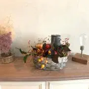 ringoの画像