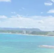 たよの画像