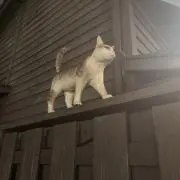 こめの画像