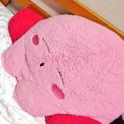 りーちゃんの画像