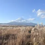 アニメ大好き先生