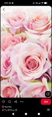 Roseの画像