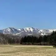 タフの画像