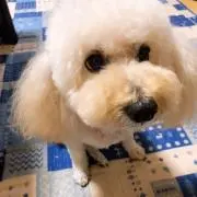 奥村ひかり