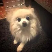 mikiii♡