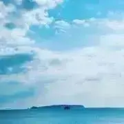 Carolinaの画像