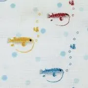 ミドリフグの画像