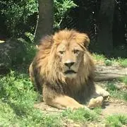 taka