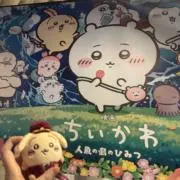 海