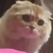 ⭐︎メル⭐︎