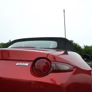 Ryuの画像