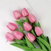 flowerの画像