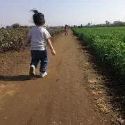 コリン