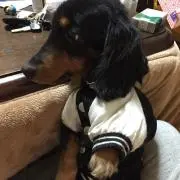 syu