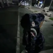 たかの画像