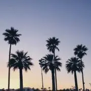 tomokoの画像