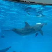 すずママの画像