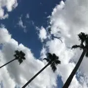 ♡aky♡の画像