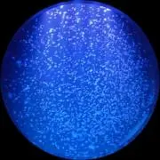 トントントントンの画像