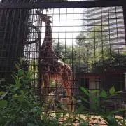 ise(ᵔᴥᵔ)の画像