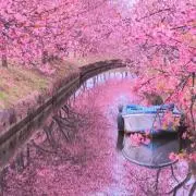 るーまの画像