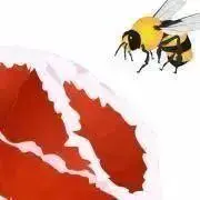J⭐️断捨離セール中